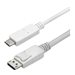StarTech.com 9.8ft/3m USB C to DisplayPort 1.2 Cable 4K 60Hz
