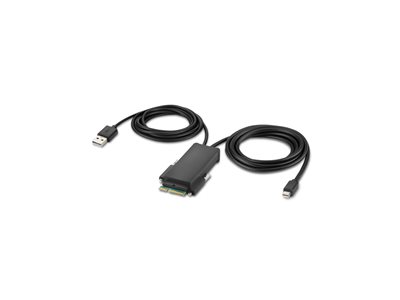Belkin Secure Modular Mini DP Single Head Host Cable