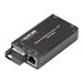 Black Box Miniature Media Converter