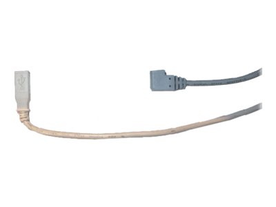 Zebra - USB cable - USB Type B (M) to USB (M)