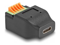 DeLOCK USB 2.0 USB-C adapter Sort