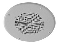 Valcom IP SoundPoint VIP-160A - IP speaker - for PA system