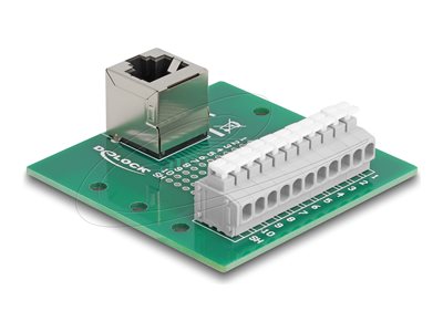 DELOCK RJ50 Buchse zu Terminalblock gew. Netzwerk-Zubehör