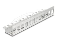 Delock Keystone-adapter