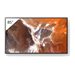 Sony Bravia Professional Displays FW-85BZ30P