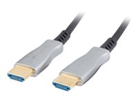 Lanberg HDMI-kabel 10m Sort Sølv