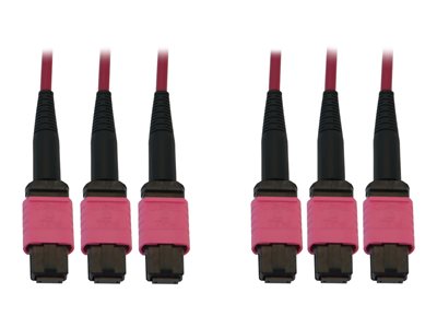 Eaton Tripp Lite Series 40/100/400G Multimode 50/125 OM4 Fiber Optic Cable (3x8F MTP/MPO-PC F/F), LSZH, Magenta, 10 m (32.8 ft.)