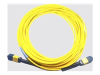 Cisco - Câble de tronc - MPO-12 type-B monomode pour MPO-12 type-B monomode - 30 m 