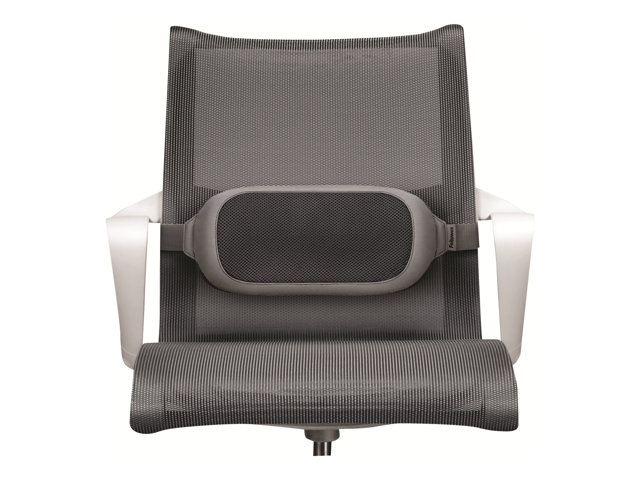 FELLOWES i-spire coussin lombaire