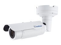 GeoVision GV-BL5311 Network surveillance camera outdoor vandal / weatherproof 