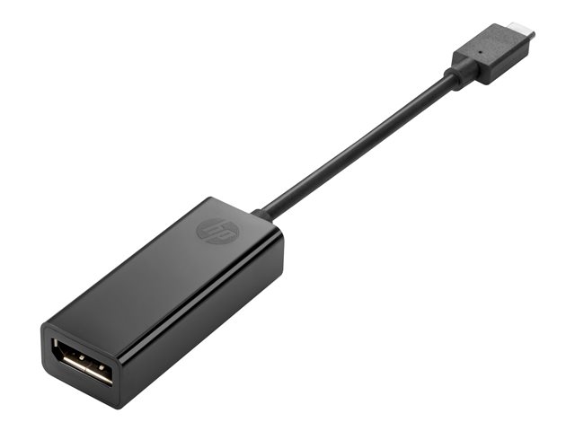 HP Adaptateur DisplayPort - 18 cm