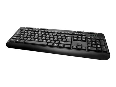 Adesso Multimedia Desktop AKB-132PB Keyboard PS/2 US