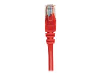 Intellinet Network Patch Cable, Cat6A, 0.25m, Red, Copper, S/FTP, LSOH / LSZH, PVC, RJ45, Gold Plated Contacts, Snagless, Booted, Lifetime Warranty, Polybag - patch cable - 25 cm - red