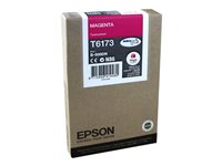 Epson Cartouches Jet d'encre d'origine C13T617300