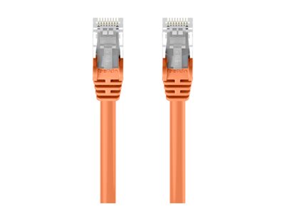 Belkin - Patch cable