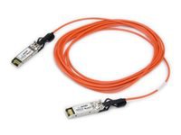 Axiom - 10GBase-AOC direct attach cable - SFP+ (M) pour SFP+ (M) - 30 m 