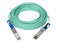 NETGEAR Dobbelt-axial 7m 10GBase-kabel til direkte påsætning