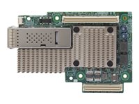 Broadcom BCM957504-M1100G16 - network adapter - OCP - 100 Gigabit Ethernet x 1