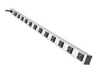 Eaton Tripp Lite Series Power Strip 120V 5-15R 12 Outlet 15' Cord Vertical Metal 0URM