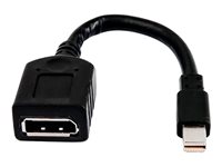HP Bulk 12 miniDP-to-DP Adapter Cables