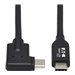 Eaton Tripp Lite Series USB C Cable (M/M)