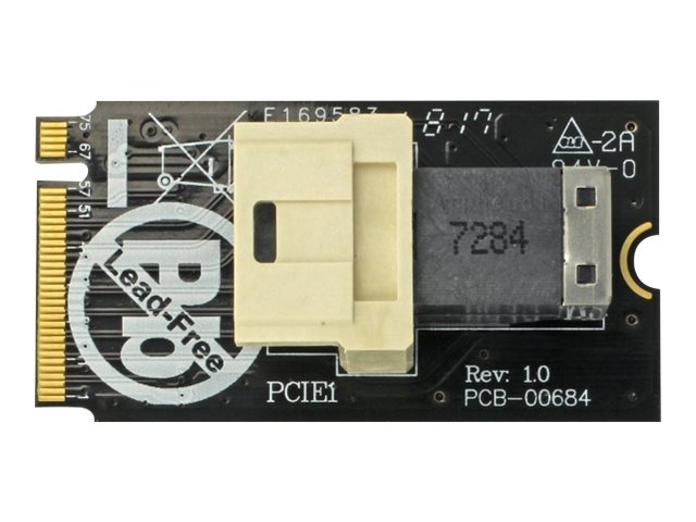 DeLOCK Adapter M.2 Key M > SFF-8643 NVMe horizontal 2242 Interfaceadapter