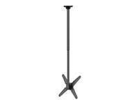 NEOMOUNTS Flat Screen Ceiling Mount