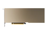 NVIDIA - GPU computing processor - A30 - 24 GB