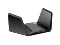 Netgear Routeurs RAXE300-100EUS