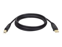 Eaton Tripp Lite Series USB 2.0 A to B Cable (M/M), 6 ft. (1.83 m)