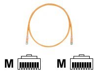 Panduit TX6 PLUS patch cable - 4.9 m - orange