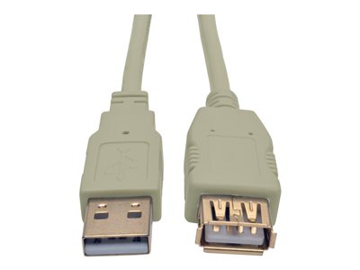 Tripp Lite 6ft USB 2.0 Hi-speed A/A Cable M/M 480 Mbps Beige, USB extension