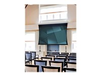 Projecta Tensioned DescenderPro projection screen - 125.59" (319 cm)