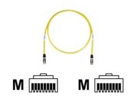 Panduit TX6 10Gig - Patch cable