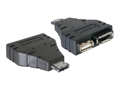 DELOCK Adapter SATA eSATAp -> eSATA + USB St/Bu
