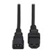 Eaton Tripp Lite Series Power Cord, C14 to C21