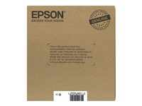 EPSON 2LB EasyMail T071 Cheetah