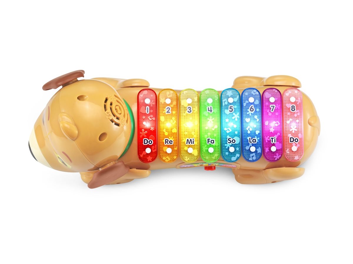 VTech Zoo Jamz Doggy Xylophone