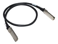 ECE7297583