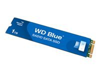 Western-Digital Blue WDS100T3B0B