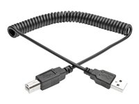 Eaton Tripp Lite Series USB 2.0 USB-kabel 3.1m Sort