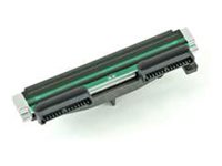 Zebra - 203 dpi - printhead