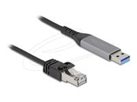 Delock USB LAN Cable USB Type-A to RJ45 Gigabit Ethernet 2 m