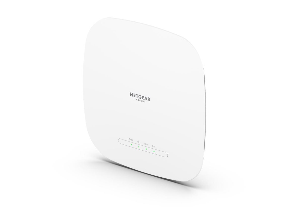 NETGEAR WAX618 - Wireless access point