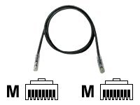Panduit TX6 PLUS - Patch cable