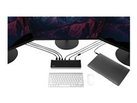 StarTech.com Produits StarTech.com DK30CH2DEPUE