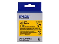 Epson Accessoires pour imprimantes C53S656905