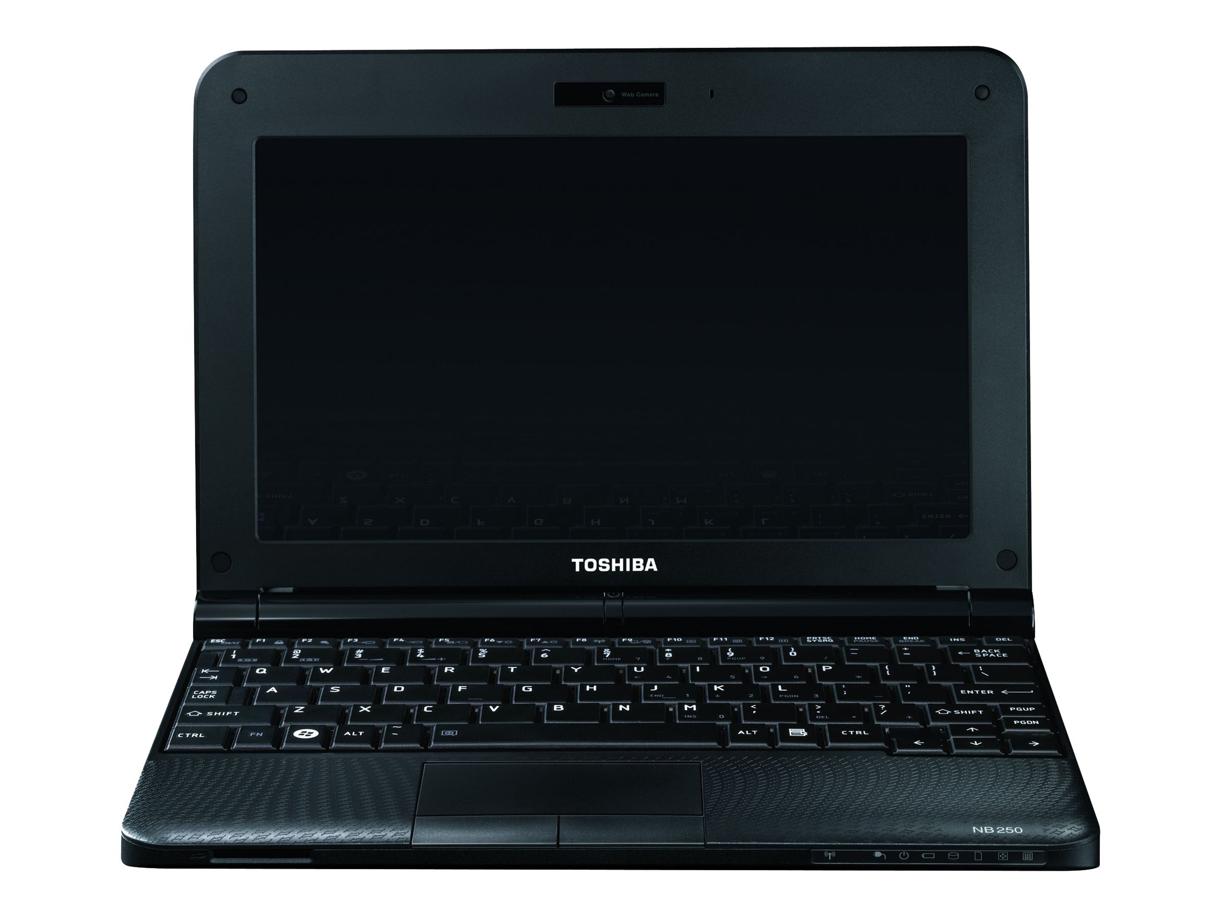 Toshiba NB250 (107)