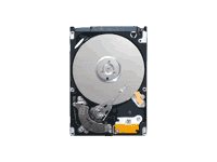 Seagate TDSourcing Momentus Laptop ST9160314AS Hard drive 160 GB internal 2.5INCH 