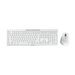 CHERRY STREAM DESKTOP COMFORT